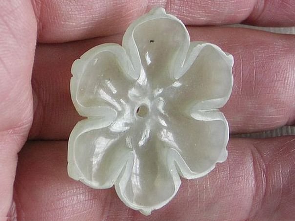 Flower  62 - (5409)